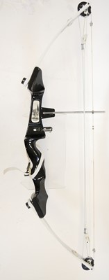 Lot 283 - Prowler compound bow with arrows and case