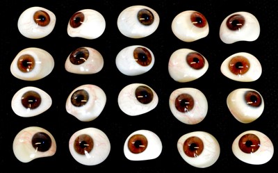 Lot 241 - Twenty late 19th or early 20th century prosthetic glass eyes