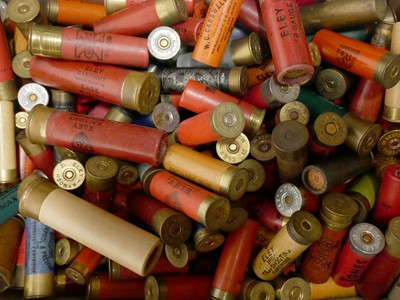 Lot 381 - Shotgun cartridges IMPORTANT READ NOTE BELOW,...