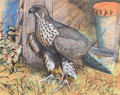 Lot 31 - Charles Frederick Tunnicliffe (British 1901-1979)