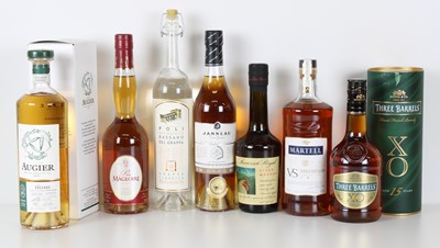 Lot 93 - 7 bottles including 50cl. and 35cl. Mixed Lot Fine Cognac , Armagnac and Aged French Brandy, Grappa, Calvados and Somerset Cider Brandy