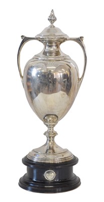 Lot 219 - An impressive George V silver twin handled cup