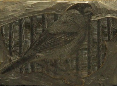 Lot 490 - Charles Frederick Tunnicliffe (British 1901-1979)