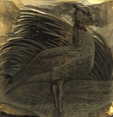 Lot 492 - Charles Frederick Tunnicliffe (British 1901-1979)