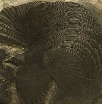 Lot 503 - Charles Frederick Tunnicliffe (British 1901-1979)