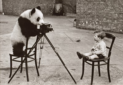 Lot 219 - Bert Hardy (British 1913-1995)