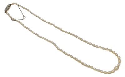 Lot 65 - A pearl and diamond necklace.