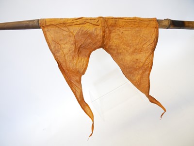 Lot 155 - Indian lance, the steel points mounted on...