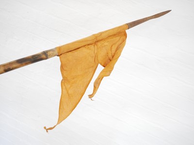 Lot 155 - Indian lance, the steel points mounted on...
