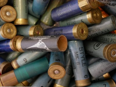 Lot 653 - Sixty-five 16 bore shotgun cartridges, paper...