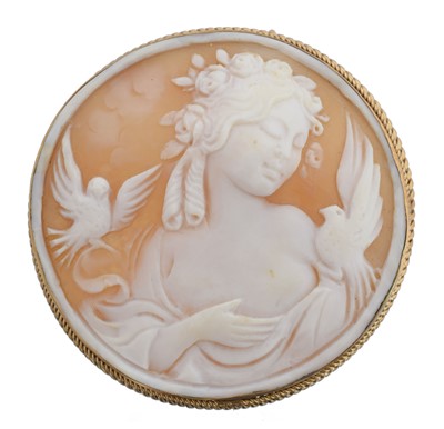 Lot 14 - A shell cameo brooch