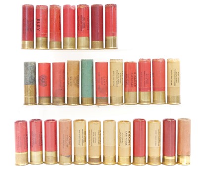 Lot 559 - 8 bore shotgun cartridges, including 6 pre ICI,...