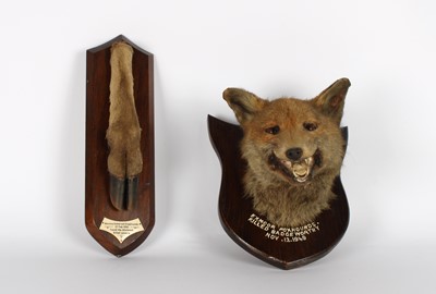 Lot 294 - A Mid-20th Century Taxidermy Fox's Head and Stag's Foot