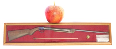 Lot 80 - Miniature model of a Diana air rifle by R.T....