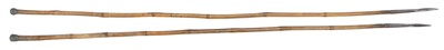 Lot 269 - Two pig spears, with triform blades and lead...