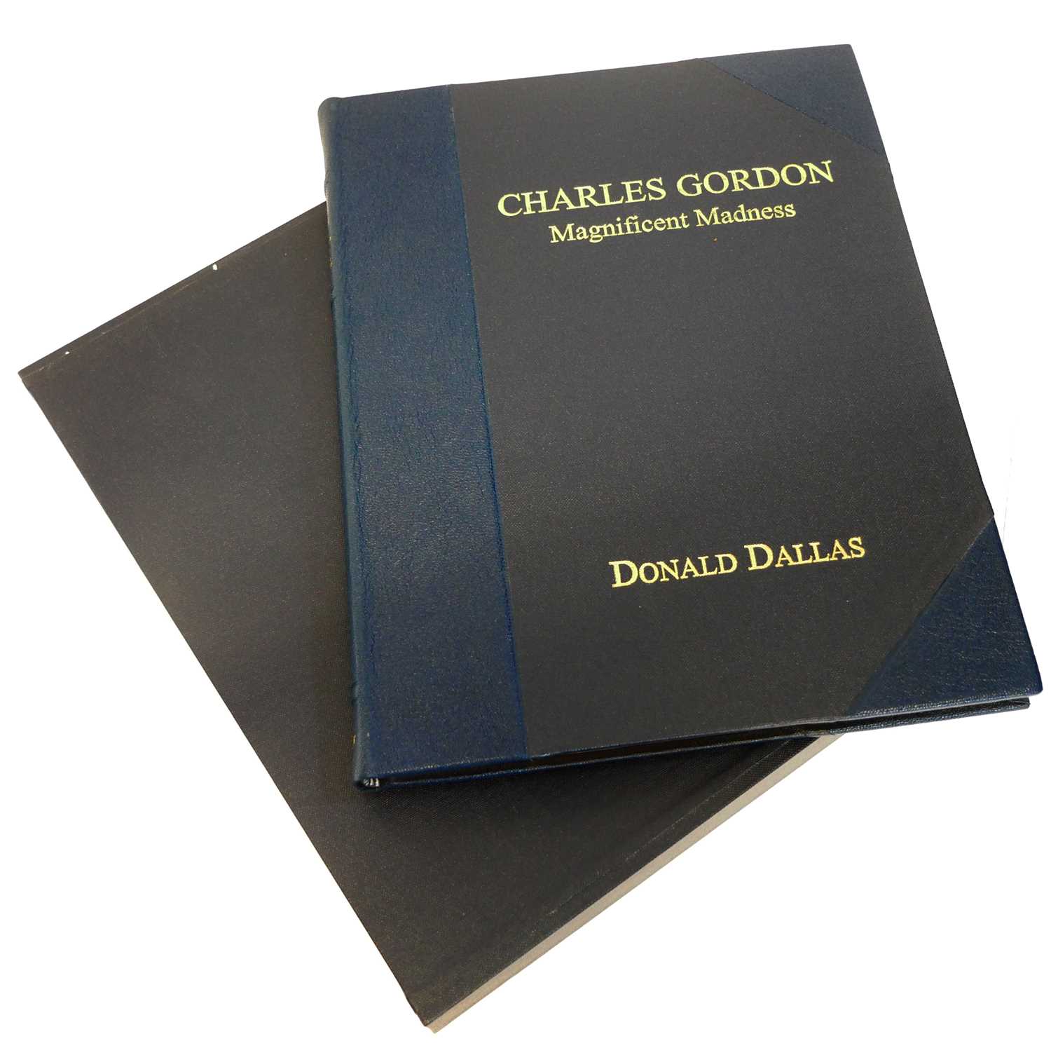Lot 728 - Charles Gordon - Magnificent Madness, by...