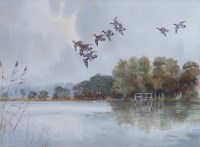 Lot 499 - R.W. Milliken, Wigeons in flight, watercolour.