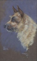 Lot 520 - A. Prosser, Portrait of a Long Haired Terrier, pastel.