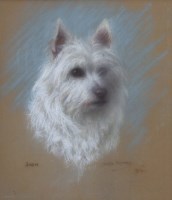 Lot 521 - Nesta Warren, Portrait study of a Cairn Terrier, pastel.