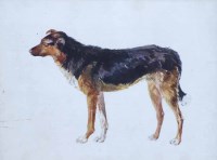 Lot 413 - John Isaac Richardson, Dog studies, watercolour (3).