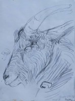 Lot 374 - John Bratby, Study of Billy's Head II, pencil.