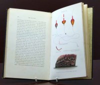 Lot 63 - Pritt, T.E., The Book of the Grayling, blue cloth, cold plates, corners bumped, 1 volume.