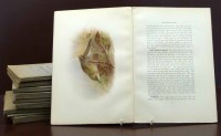 Lot 66 - The British Warblers (10 volumes).