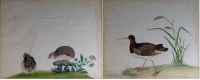 Lot 318 - Pair of Chinese watercolour bird studies.