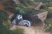 Lot 628 - Ralph Waterhouse, Badgers outside a sett, gouache.