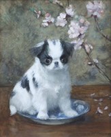 Lot 687 - F.C. Fairman, Portrait of a Japanese Chin, watercolour.