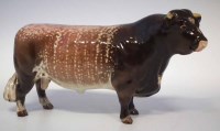 Lot 291 - Beswick Dairy Shorthorn Bull C.H Gwersylt Lord Oxford
