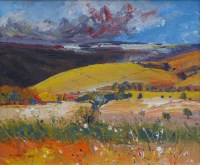 Lot 437 - Richard Clare, Wayside Flowers, Derbyshire, acrylic.