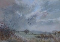 Lot 512 - Tim Scott Bolton, Lapwings, watercolour.