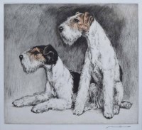 Lot 557 - English School, Airedale Terriers, signed etching.