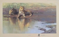 Lot 512 - After David Shepherd, Cool Waters, signed print.