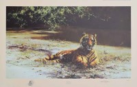 Lot 514 - After David Shepherd, Indian Siesta, signed print.