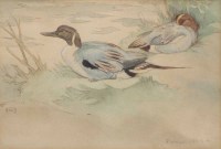 Lot 581 - Richard Talbot Kelly, Preening, watercolour.