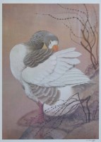 Lot 623 - After C.F. Tunnicliffe, The Gander, signed print together with Ian Niall Portrait of a Country Artist (2).
