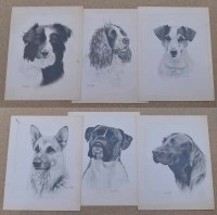Lot 332 - Rex Flood, 20th century, Six unframed dog studies, pencil (6).