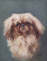 Lot 448 - A.P. Jury, Portrait of a Pekingese, oil.