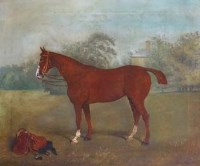 Lot 607 - Wilson Hepple, Portrait of a horse, oil.