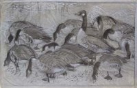 Lot 586 - C.F. Tunnicliffe, Canadian Geese, pencil and wash.