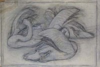 Lot 590 - C.F. Tunnicliffe, Four bird studies, charcoal and pencil (4).