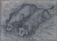 Lot 593 - C.F. Tunnicliffe, Lions watering, pencil and charcoal.