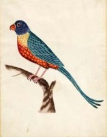 Lot 410 - Set of Four Indian Water Colour Studies Bird and