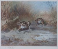 Lot 750 - Archibald Thornburn, Woodcock, signed print