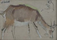 Lot 639 - P.A. Valette, Goat study, ink and oil.
