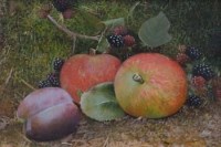 Lot 665 - Derek Shapiro, Still life studies with fruit, oil (3).