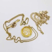 Lot 376 - 13 pendant on chain; 9ct gold brooch; 9ct necklace (3)