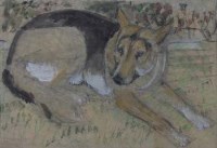 Lot 456 - C.F. Tunnicliffe, German Shepherd Dog, watercolour.